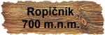 Ropičník