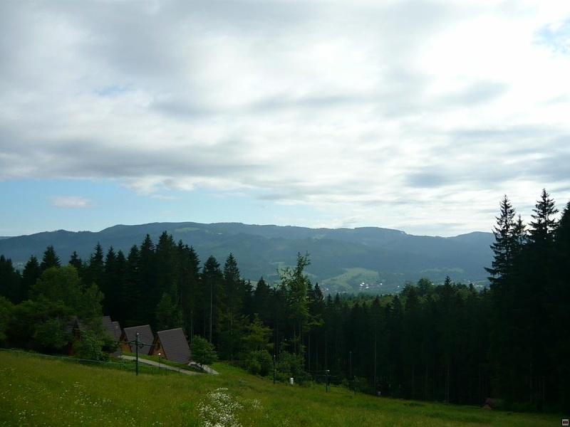 img00053.jpg