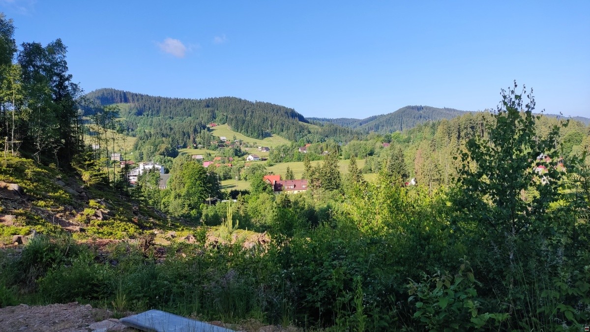 img00035.jpg